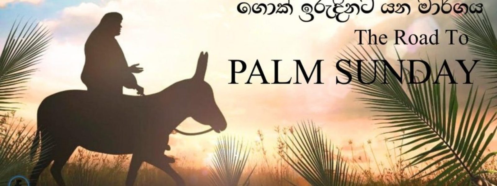 The Road To Palm Sunday
