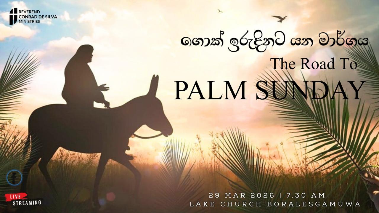 The Road To Palm Sunday