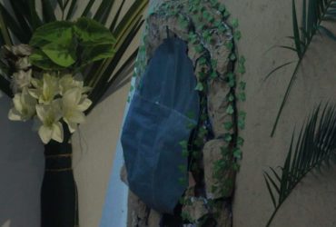 WhatsApp Image 2026-03-31 at 12.19.57 WhatsApp Image 2026-03-31 at 12.19.57