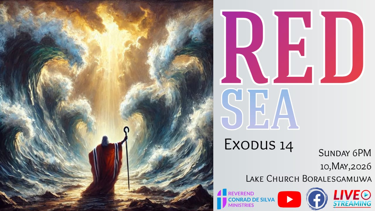The Red Sea
