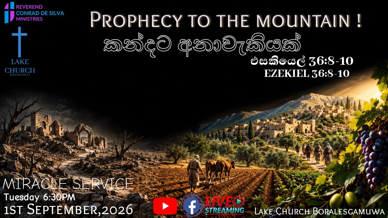 Prophecy To The Mountain !